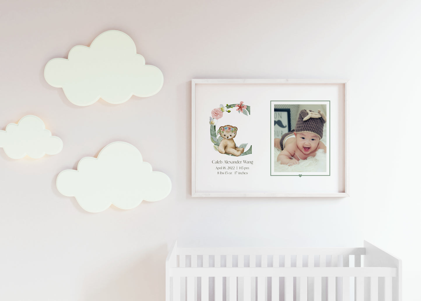 Newborn Animal Letter 8x10 Photo Mat